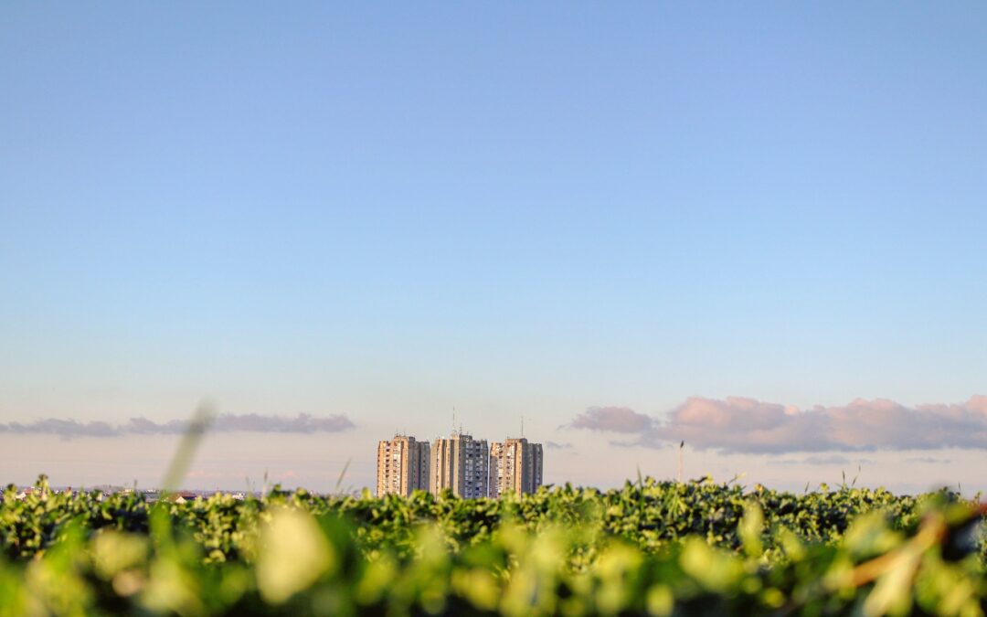 Investir responsable : comment faire ?