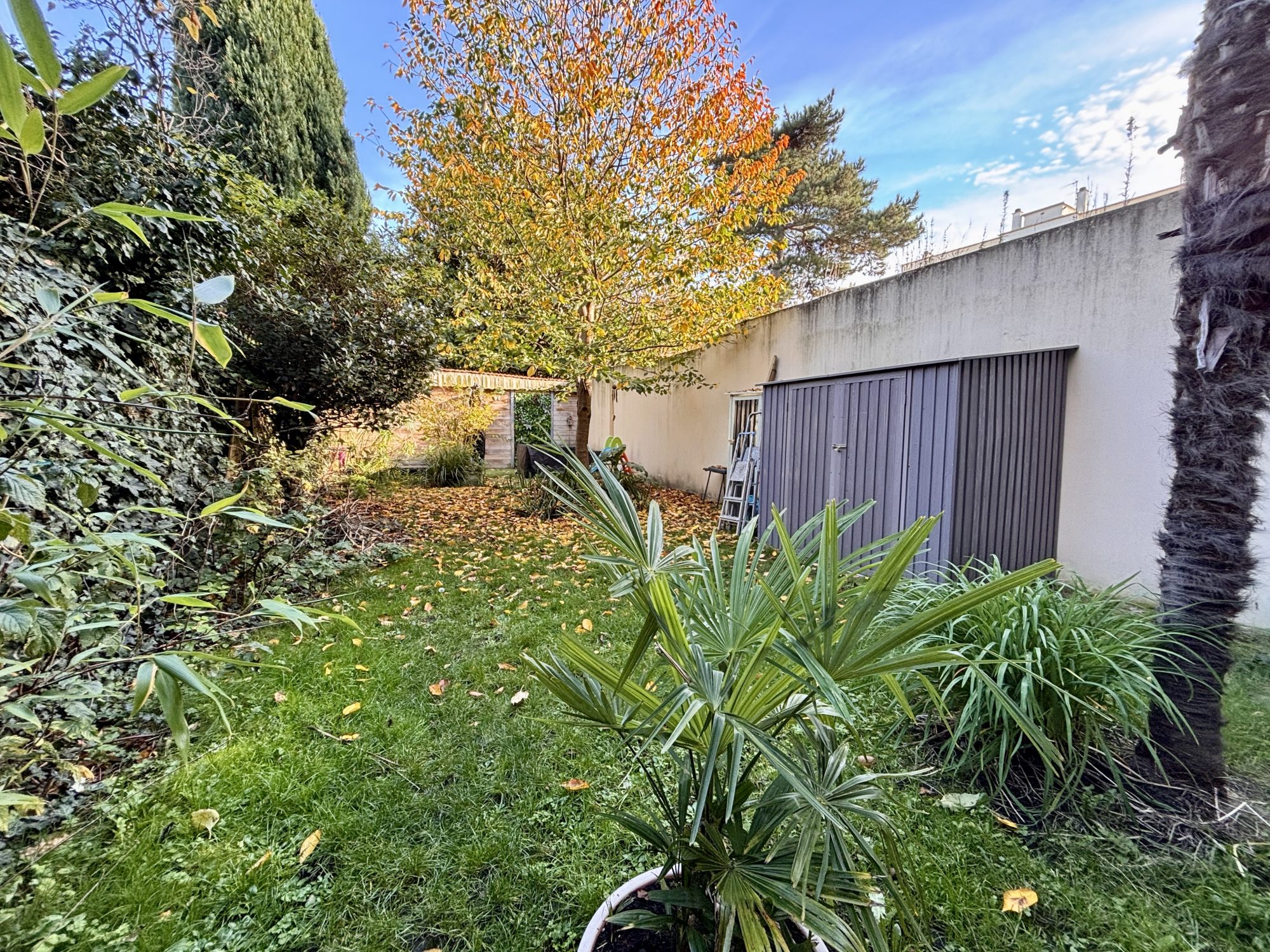 Maison en centre ville avec jardin
